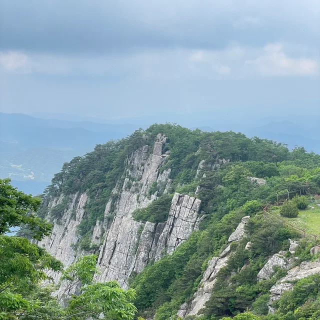 당근왔숑