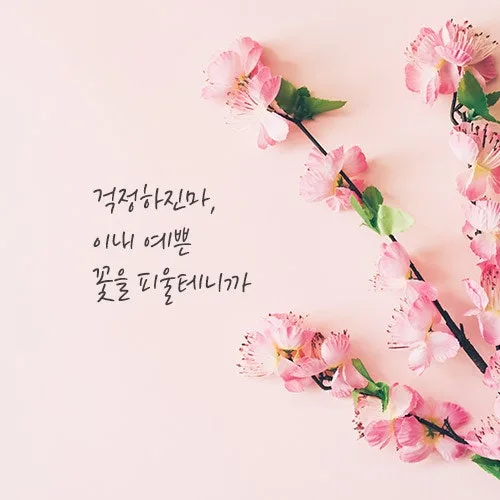 은지맘
