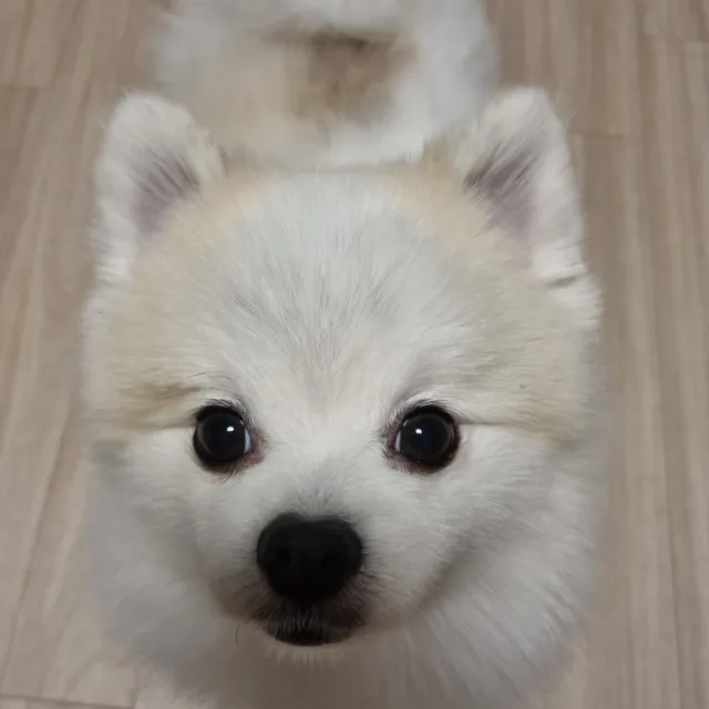 지금당장
