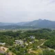 미니