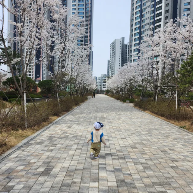 후드티