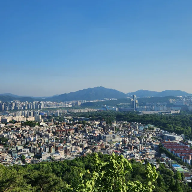 멜롱