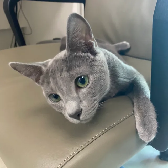 알뜰살뜰깔끔