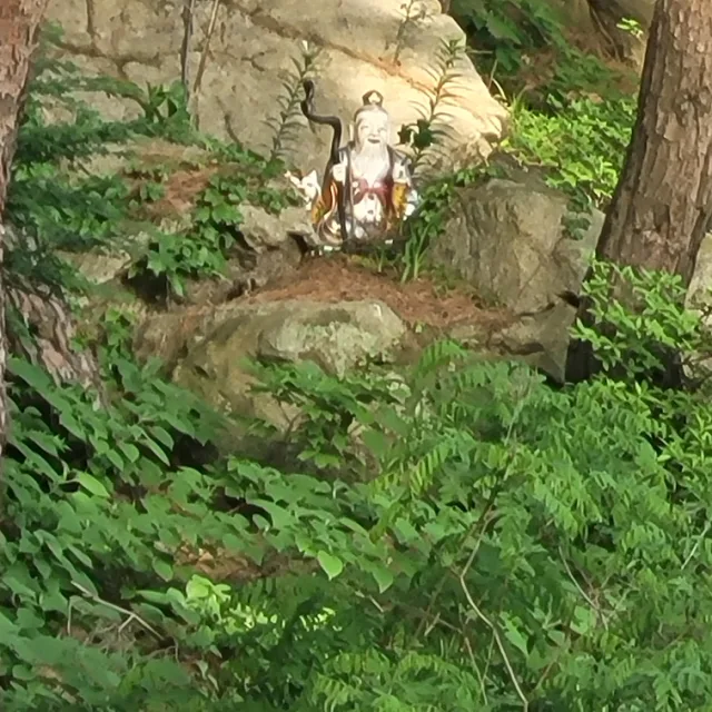 야마꼬