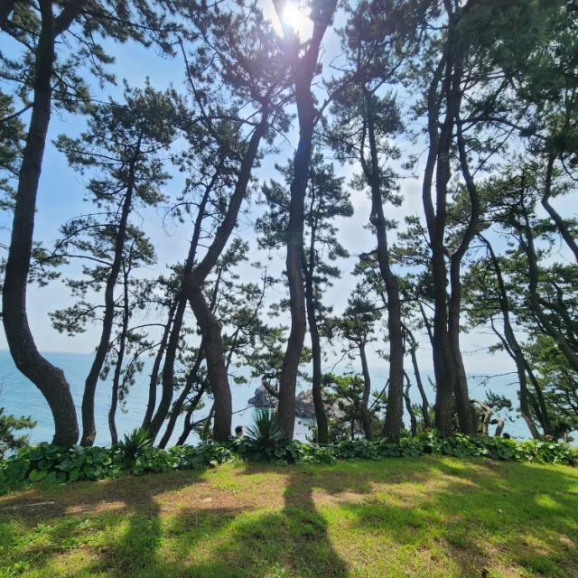 병아리쫑쫑