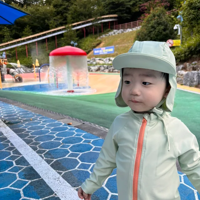 홍홍
