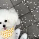 두부언닝