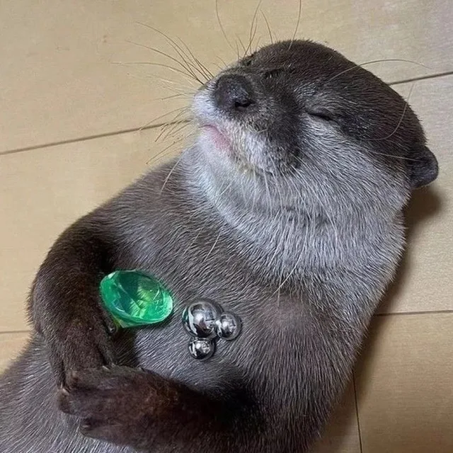 밤달수