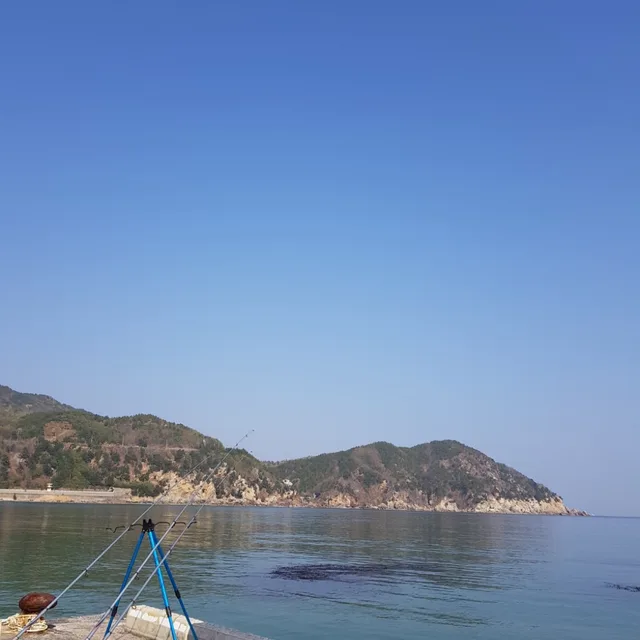 박또