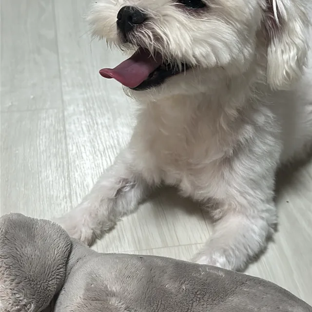 서하