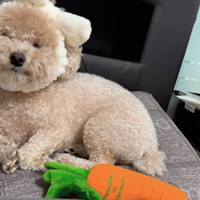 호호