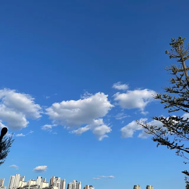 엄지꼼지