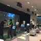 템포디올