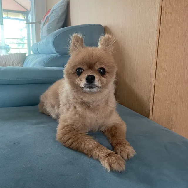 예서맘
