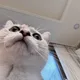 꾹꾹이