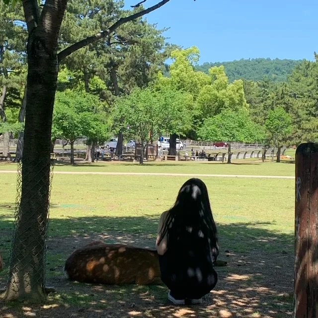 당근너구리