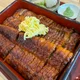 틴버