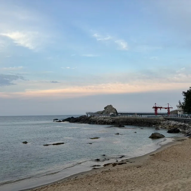 낭만강아지