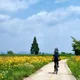 송이나라