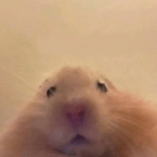 햄깅이