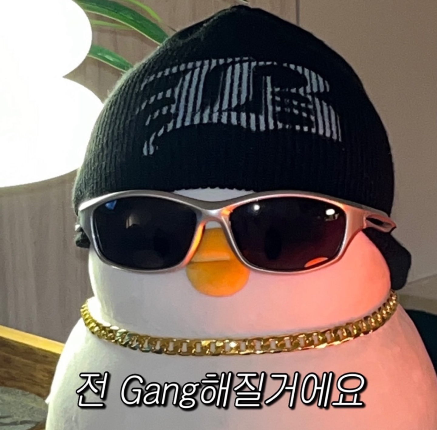단빛