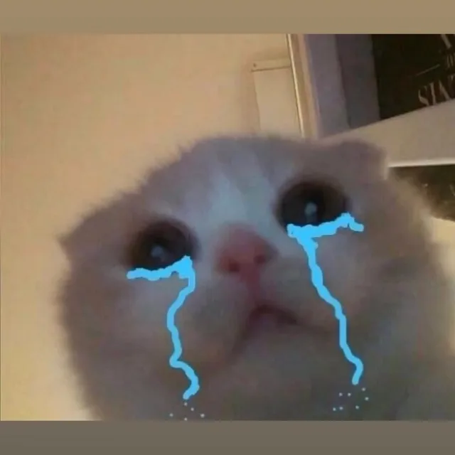 킁킁이