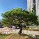비움으로행복