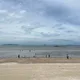 겨울실