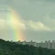 대이리