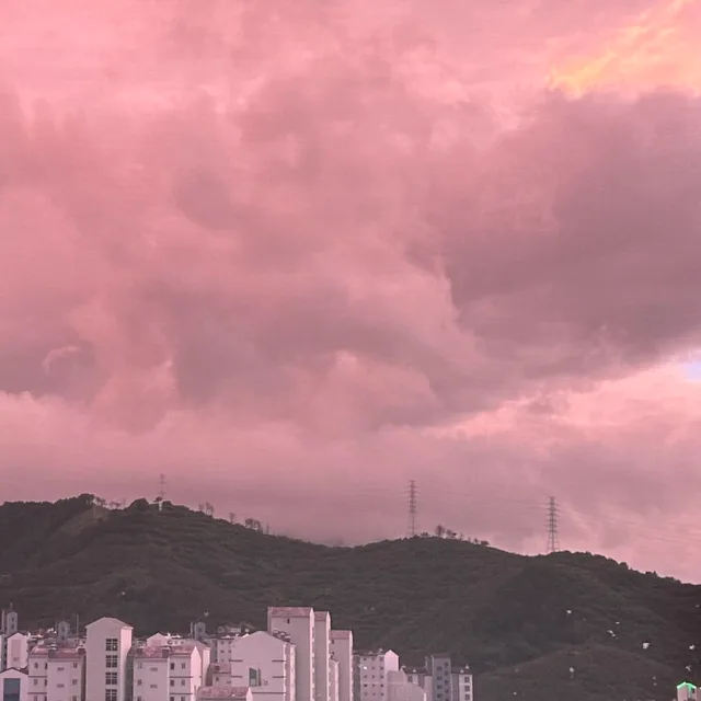 당근구경