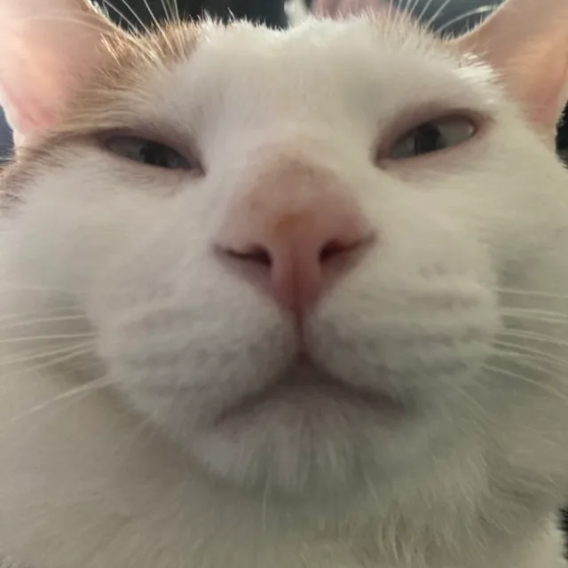 가을