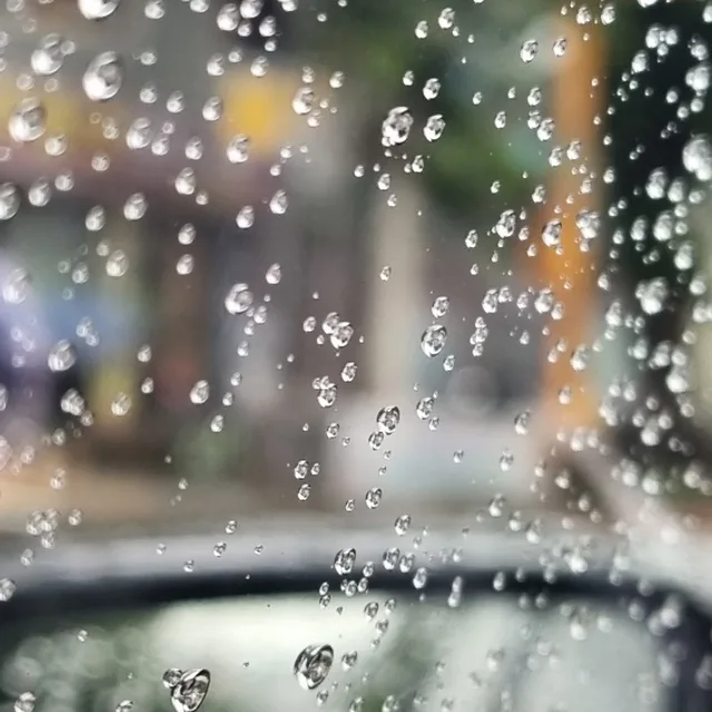 당근이싫은말
