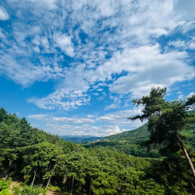 천화