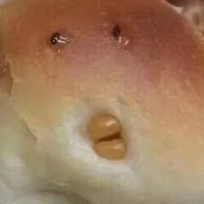다음