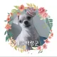 강북포장일반이사화물운송