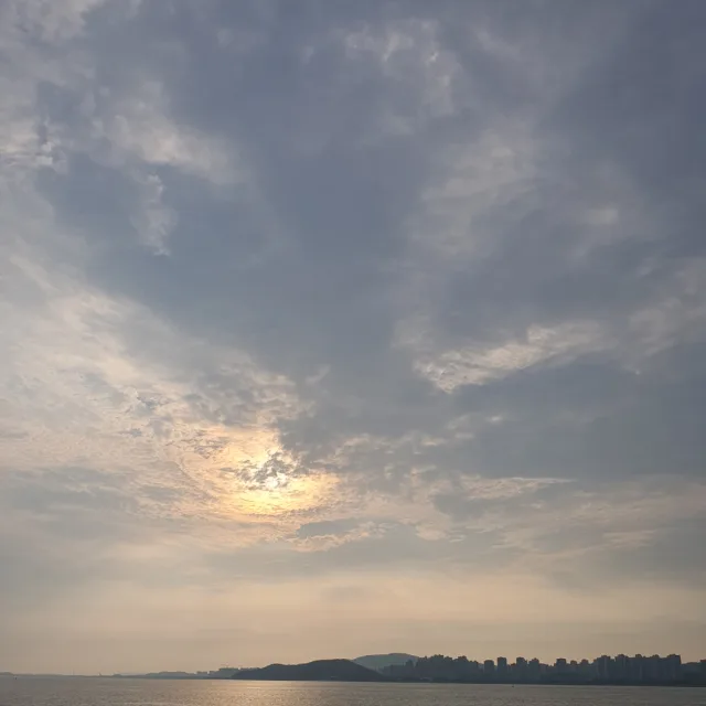 김귤