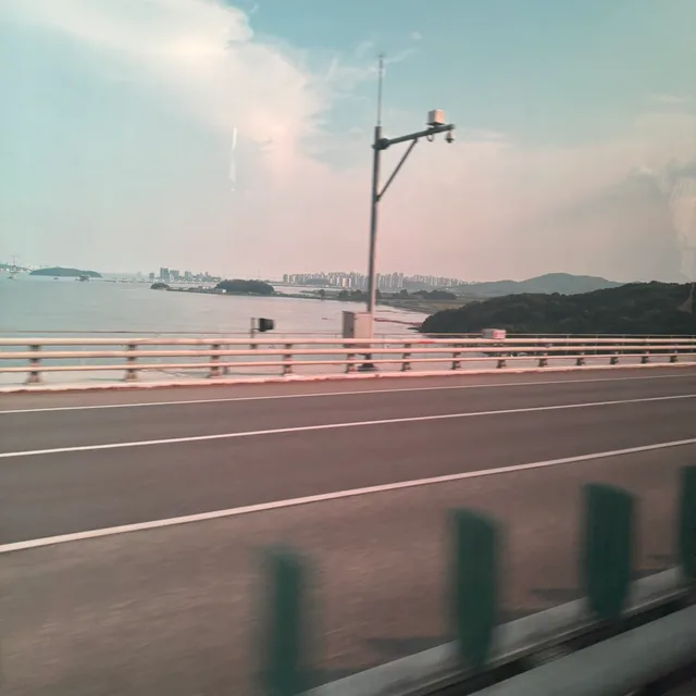 당근당근당근