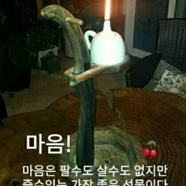 소나무