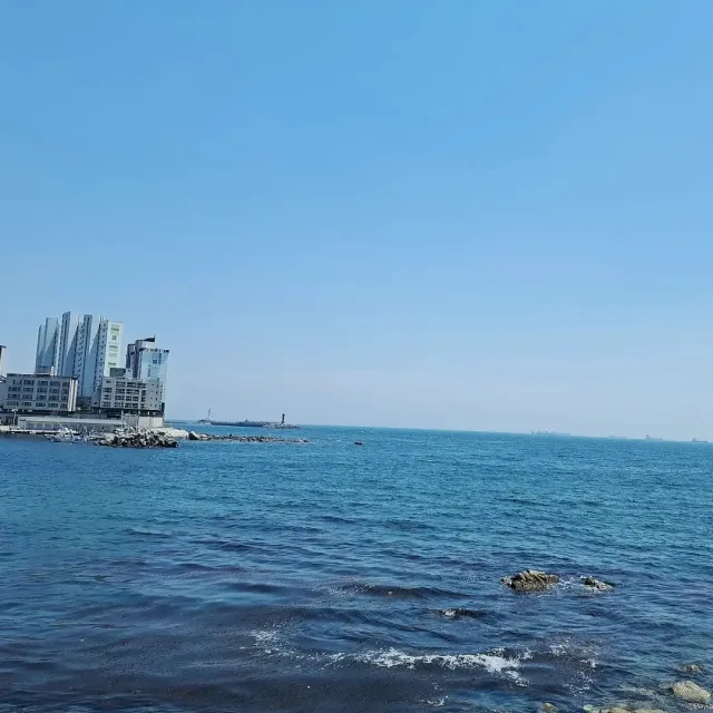 1004쩡