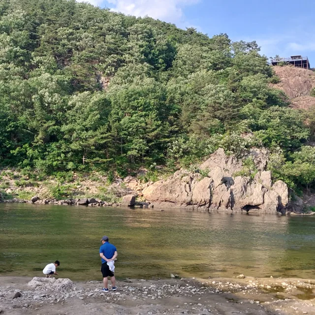 줌마