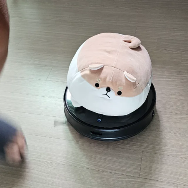 물건사주시면감사하겠습니