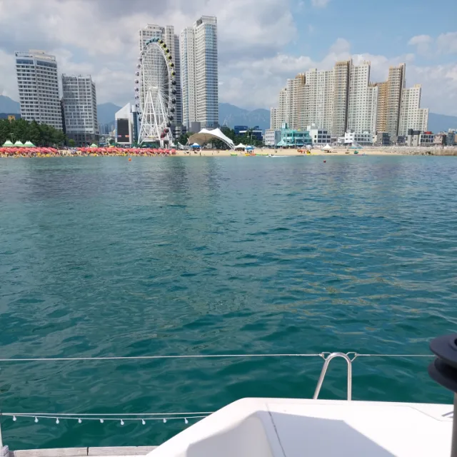 불당짱아