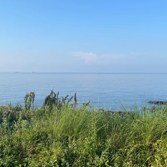 바라미