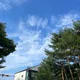 블리블리
