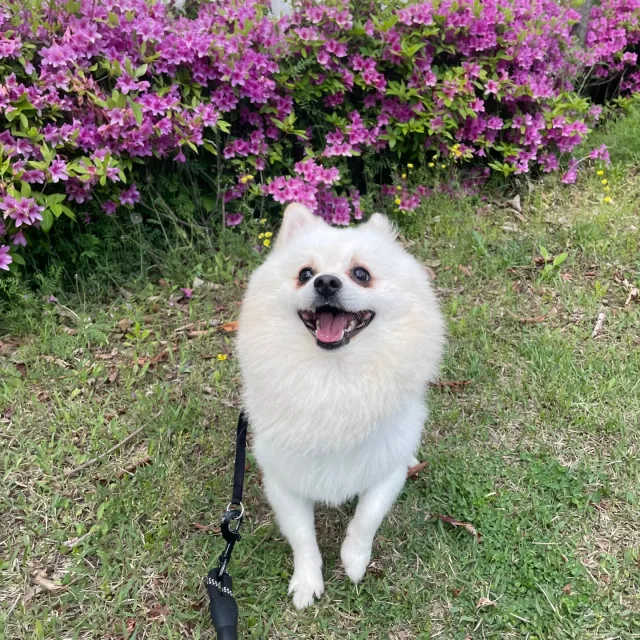 벨라엄마
