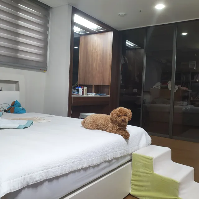 천상