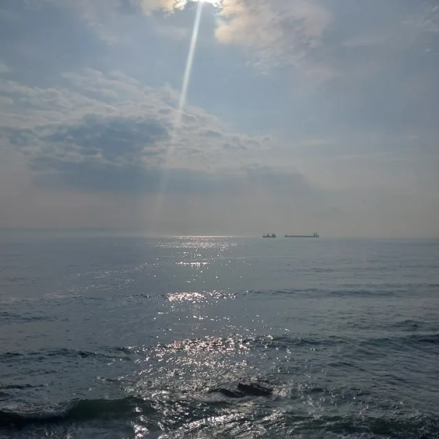 나이쑤드림