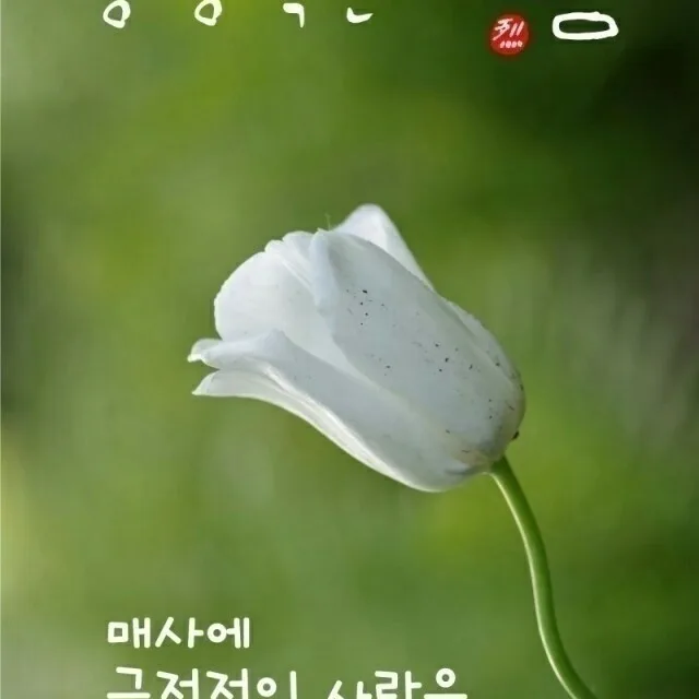 워니러브