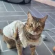 볼매현동75여