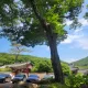 오드리